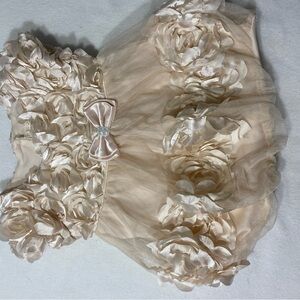 Charming Cream Rosette Kids Formal Dress Vtg